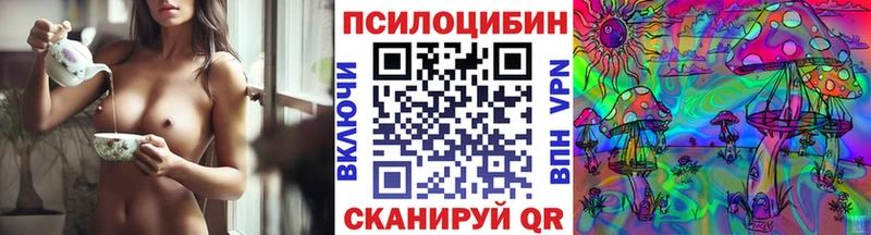 Псилоцибиновые грибы мицелий  MEGA маркетплейс  Шенкурск 
